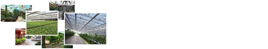 24小時(shí)免費咨詢(xún)、免費技術(shù)指導