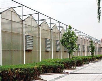 規模大，質(zhì)量好