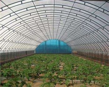 技術(shù)專(zhuān)業(yè)，服務(wù)到位