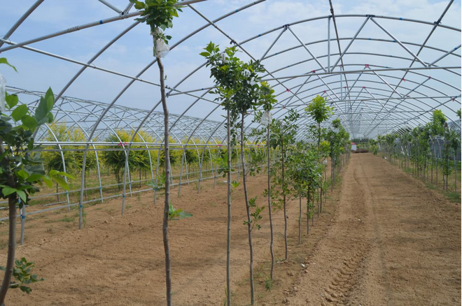 陜西大棚骨架廠(chǎng)家 陜西大棚骨架廠(chǎng)家